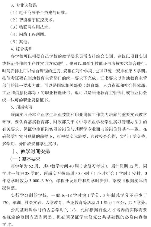 中等職業(yè)學(xué)校計(jì)算機(jī)網(wǎng)絡(luò)技術(shù)專(zhuān)業(yè)教學(xué)標(biāo)準(zhǔn)（試行）